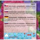 Astra čínská, pomponkovitá - Třešňove červená - semena 0,4g