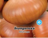 Cibule jarn� �lut� - Stuttgartsk� - Semena - 2 g