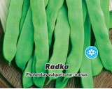 Fazol keříčkový - zelenoluský - Radka - 20 g