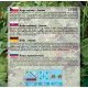 Anýz (Bedrník Anýz - Rostlina: Pimpinella annisum) - Jaron - Semena 1,5 g