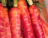 Mrkev Extra �erven� (prazelenina: Daucus carota) - semena cca 20 ks