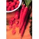 Mrkev Extra �erven� (prazelenina: Daucus carota) - semena cca 20 ks
