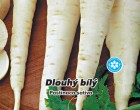 Pastiňák - Dlouhý bílý - semena pastiňáku 3g