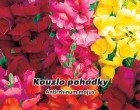 Hledík větší - Kouzlo pohádky - semena hledíku 0,2g