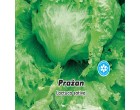 Sal�t hl�vkov� ledov� - Pra�an - semena sal�tu 0,5g