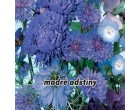 Sm�s letni�ek - modr� odst�ny - semena letni�ek 1 g