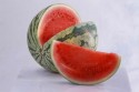 Jak pěstovat melouny na zahradě